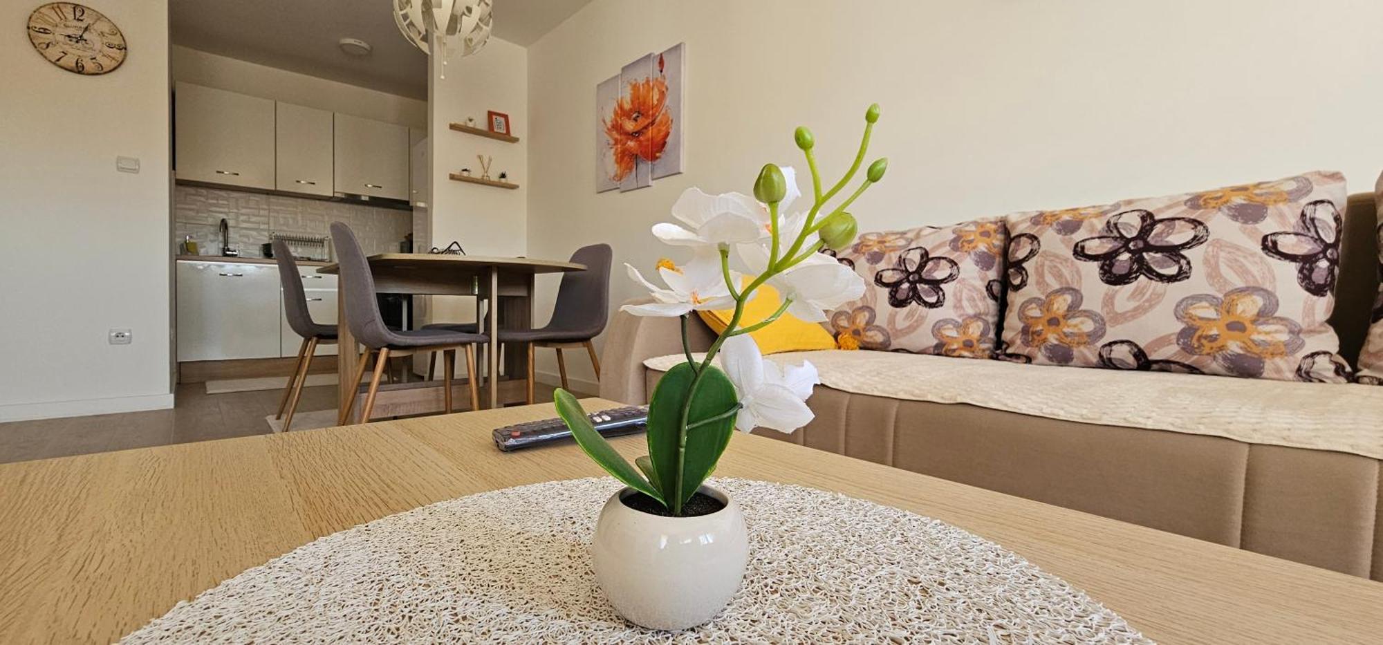 Apartman Vukota 2 Pirot Exterior foto